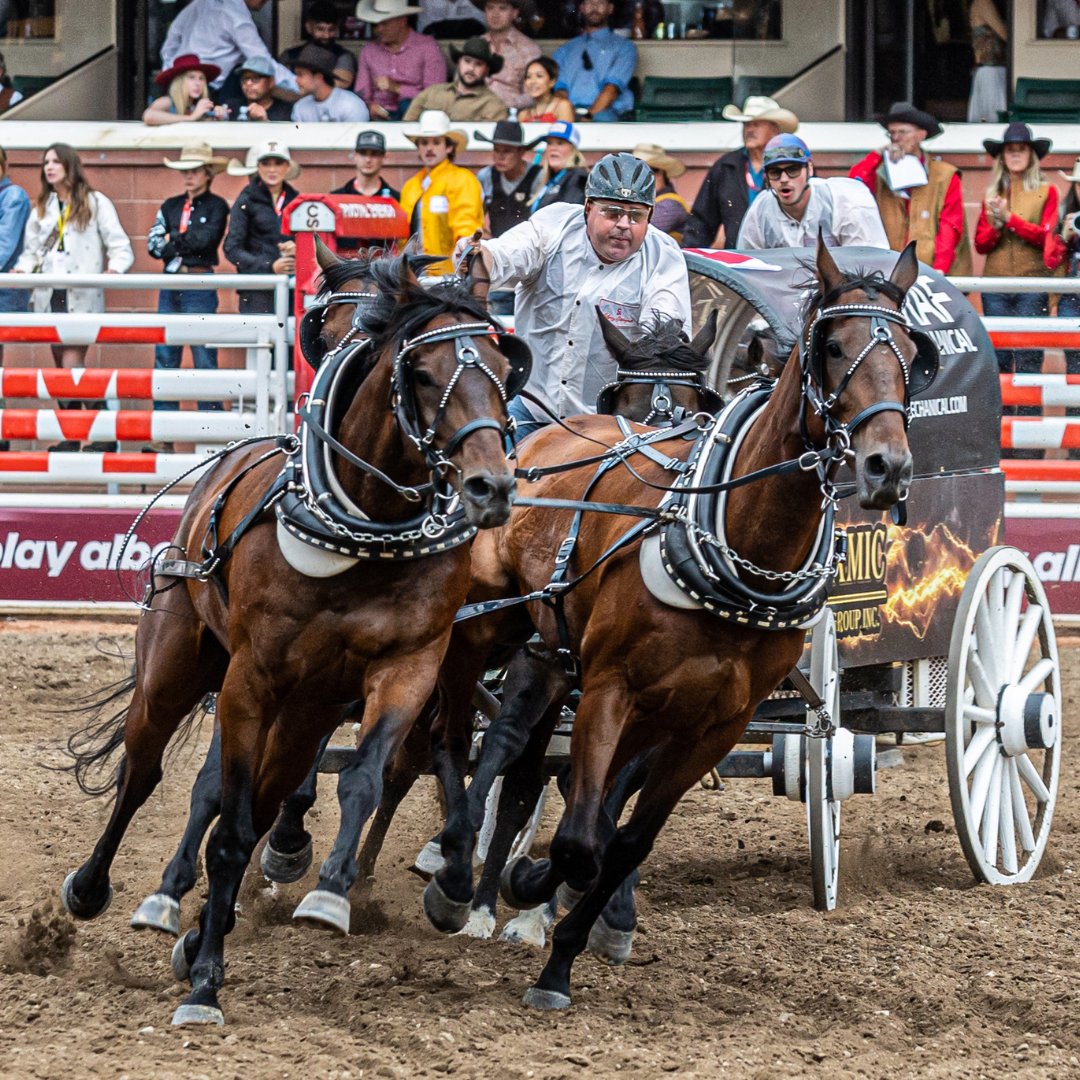 CS Chuckwagons & Relay tweet media