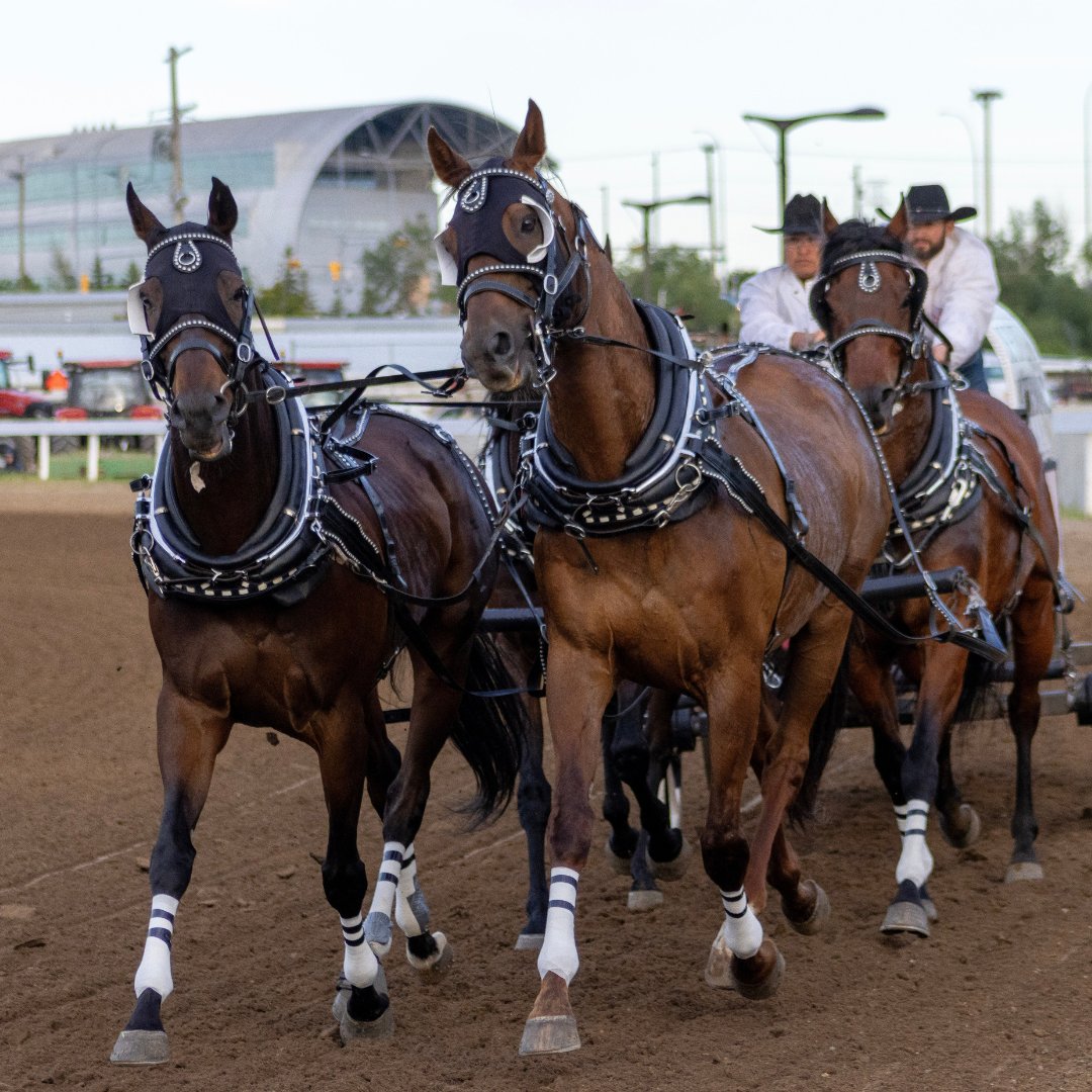 CS Chuckwagons & Relay tweet media