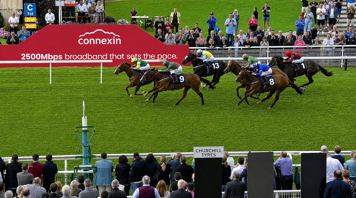 BackWinners's tweet photo. Great start to the week 🔥COOLREE wins for Josh Wright’s @RTPSyndicate  under P J McDonald — travelled sweetly and won with ease 🏇Amazonian Dream also placed at 10/1 💪
https://t.co/J79SYRWWyF
#HorseRacing #York #RacingToProfit https://t.co/TyzuICfWJU