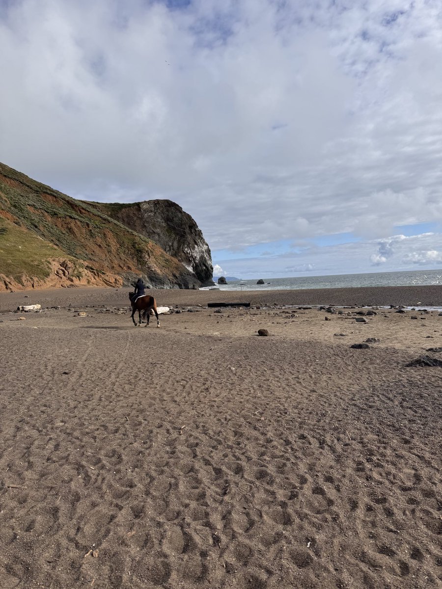 laneybugg's tweet photo. The clouds were on parade yesterday at Tennessee Valley Beach in Marin County California. I was reluctant to go to an ocean beach because of the cloud forecast, I prefer sunny days, but when my cousin texted me and said she wanted to go for a walk, I said letz go. https://t.co/jEXYj6lSFq