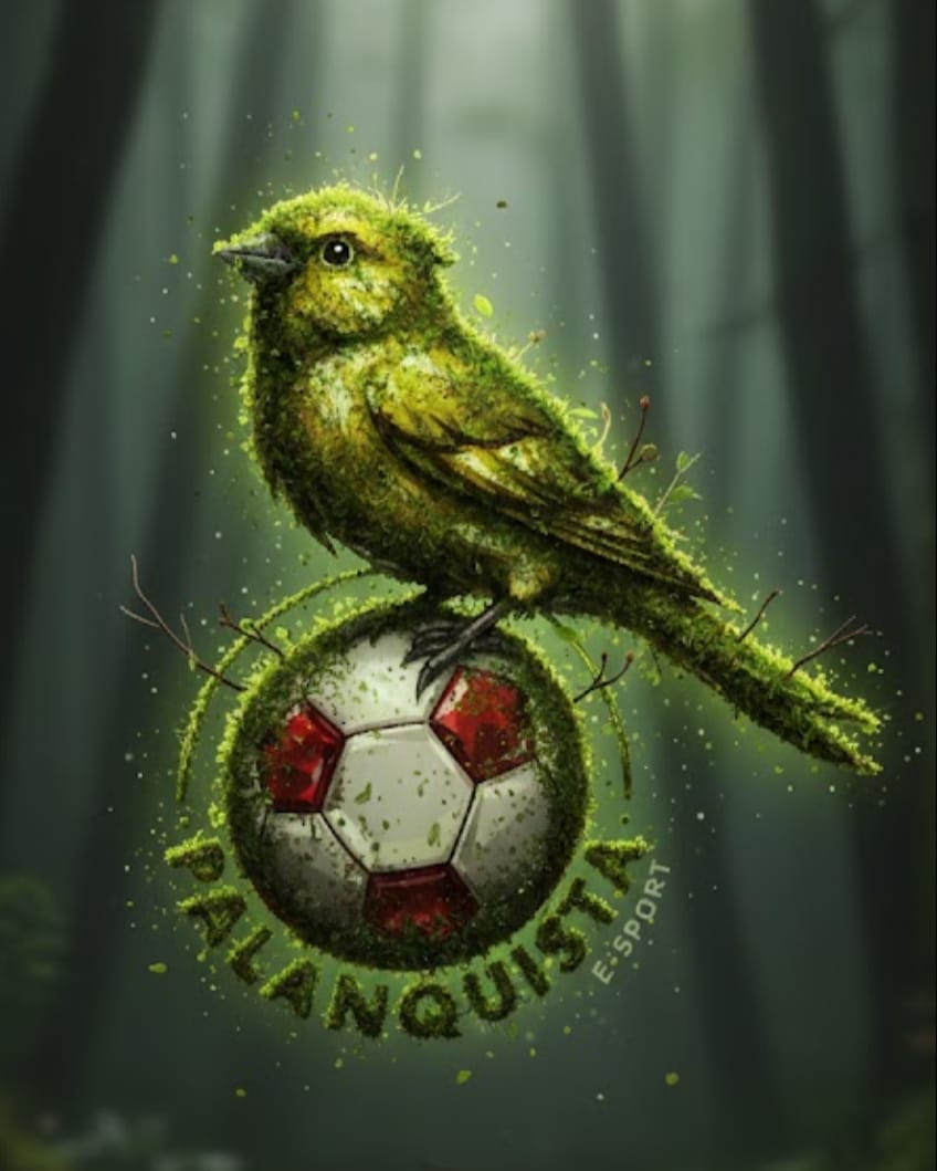 Palanquista eSports tweet media