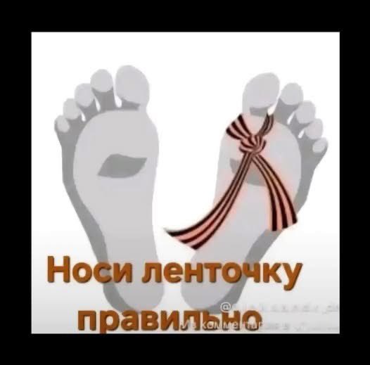 Plato tweet media