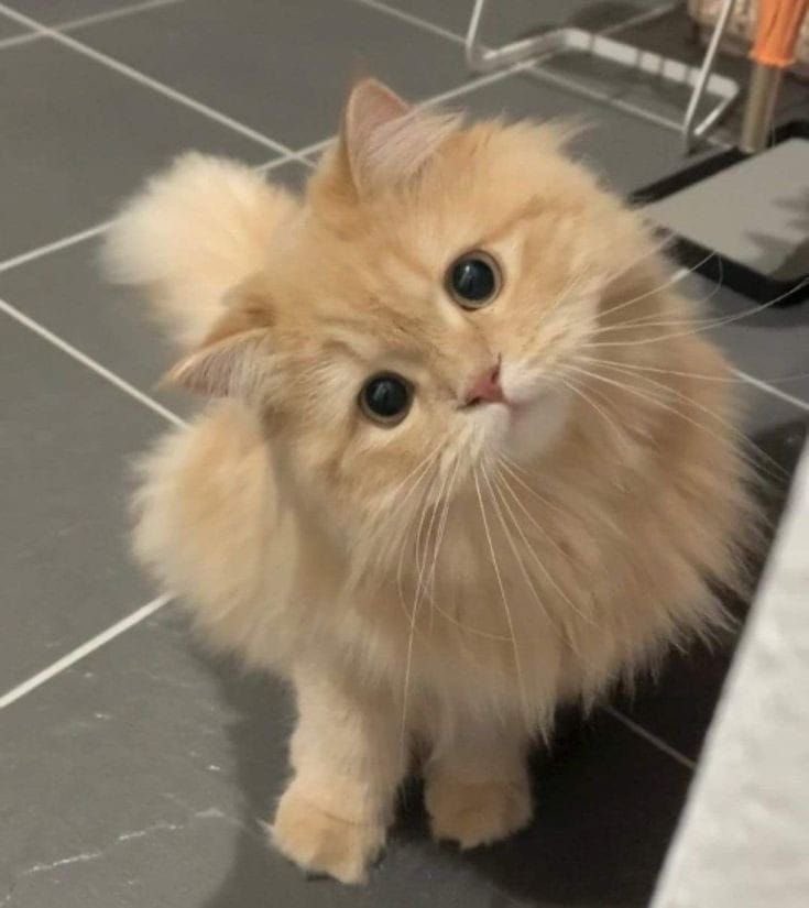 lai ☆ 𝒐𝒅𝒆 𝒕𝒐 𝒍𝒐𝒗𝒆 tweet media