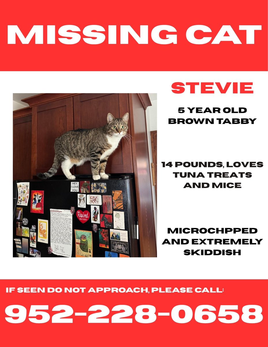 twoheadedm0th's tweet image. my cat is #missing if any of u leave in the NE MPLS area