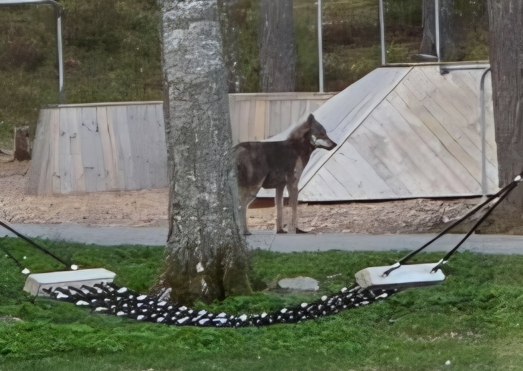 Dagens Västervik tweet media