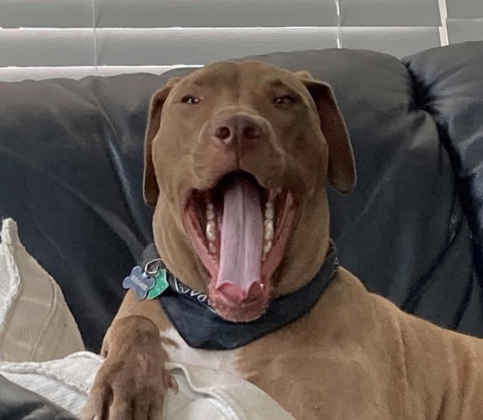 morrisoncrying tweet media