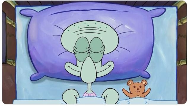 meowmeowdj's tweet image. How I sleep at night with my entire networth in $HUT shares, with Sean and Asher at the helm.