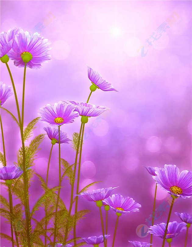 Berry_Love tweet media