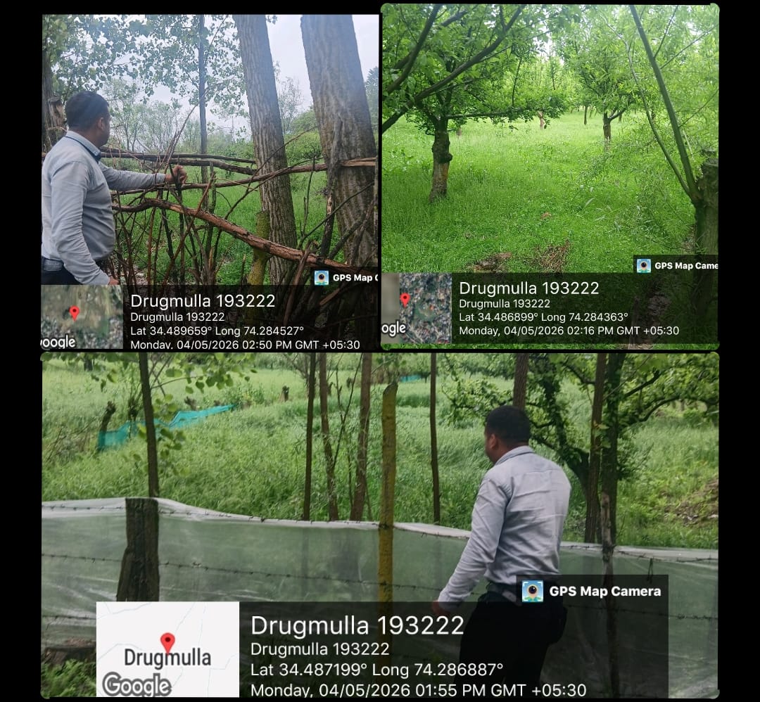ExciseCommisio1's tweet photo. Awareness was conducted by Excise Range BBK to alert the public about the legal repercussions of cultivation of Narcotics crops and surveillance conducted to monitor the activities of farmers at the onset of poppy flowering season in villages of Baramulla, Bandipora &amp; Kupwara. https://t.co/xg6MJIOwcO