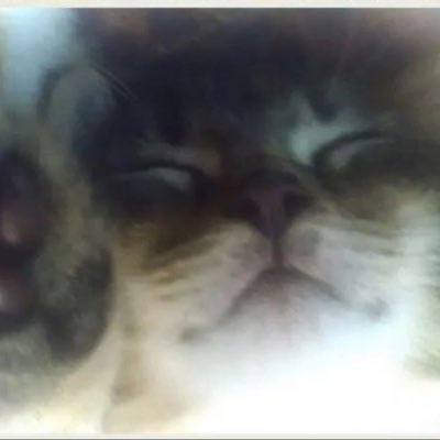 nooloogy's tweet photo. #NewProfilePic https://t.co/aBtYWONk98