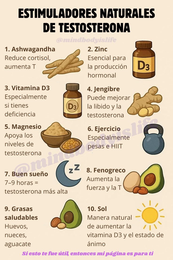 MindBodyIsLife tweet media