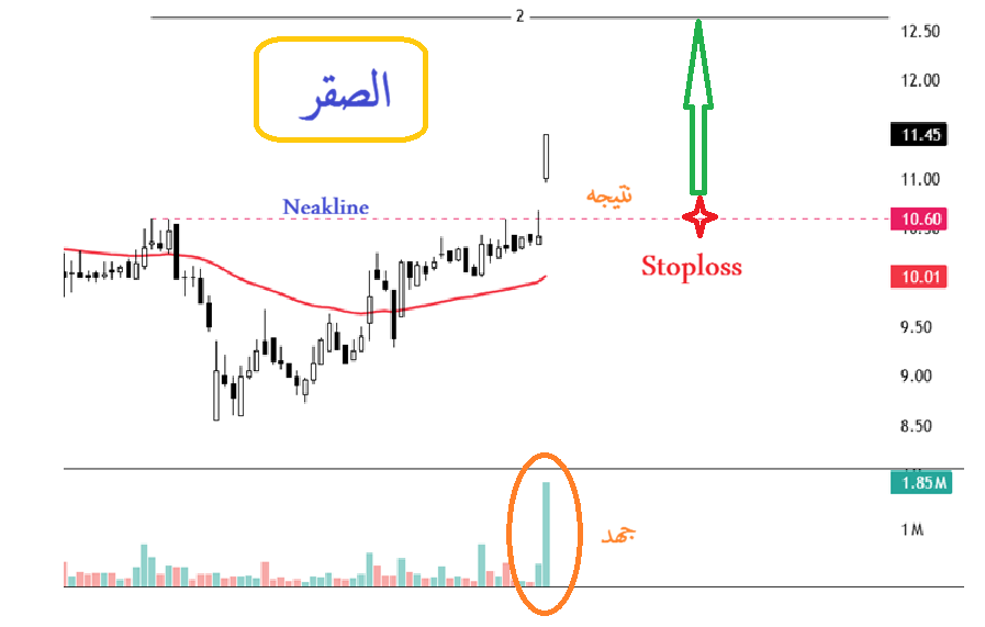 الوطن أمانه tweet media