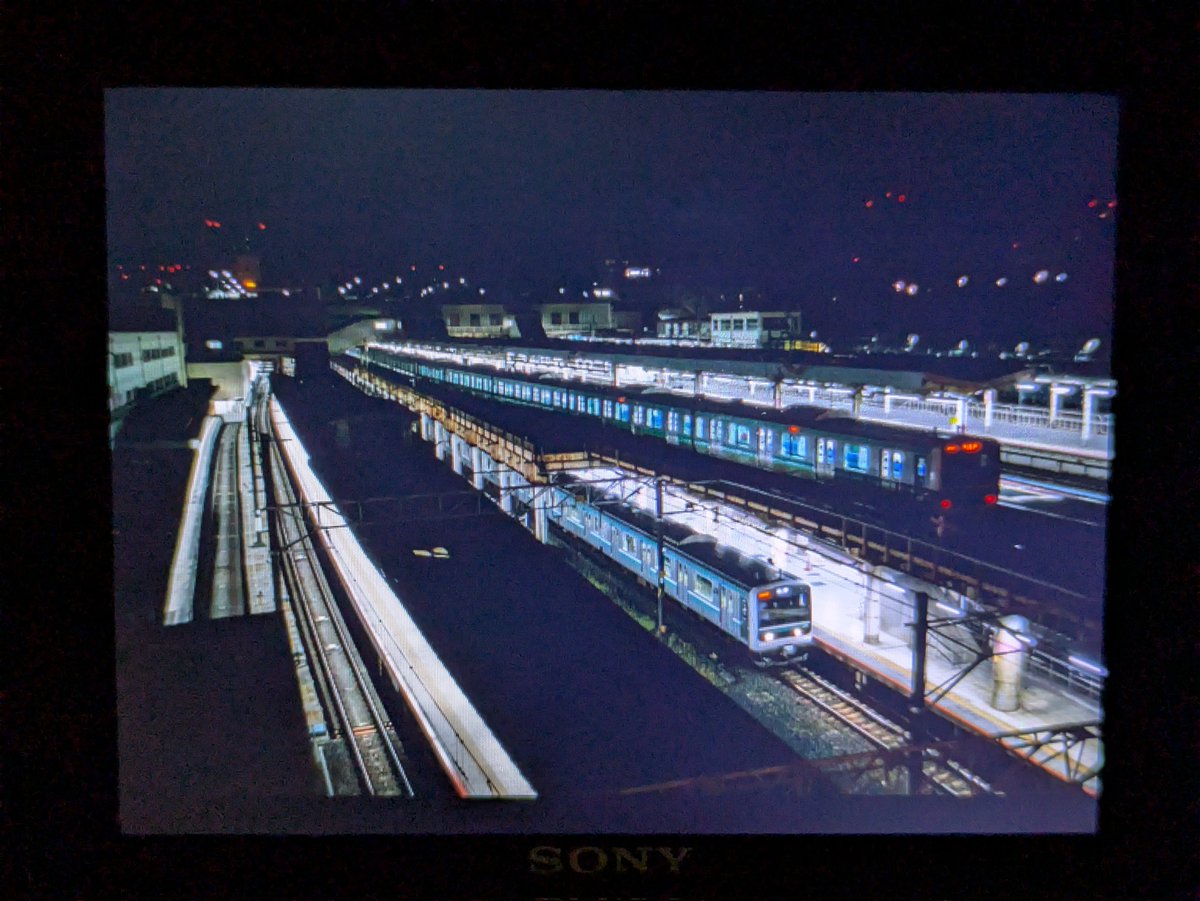 辛子 tweet media