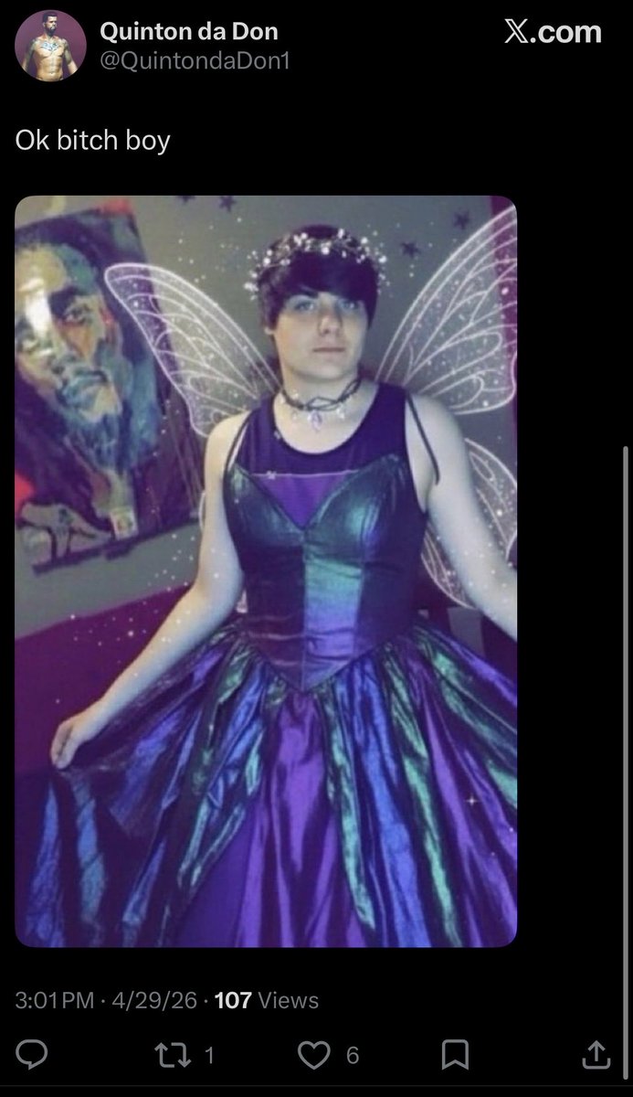 Segemh's tweet photo. @QuintondaDon1 @420groyp @LadyAnjelique @Kurrco You have a faggot bio while making fun of men in dresses. https://t.co/Bhlvg80eR9
