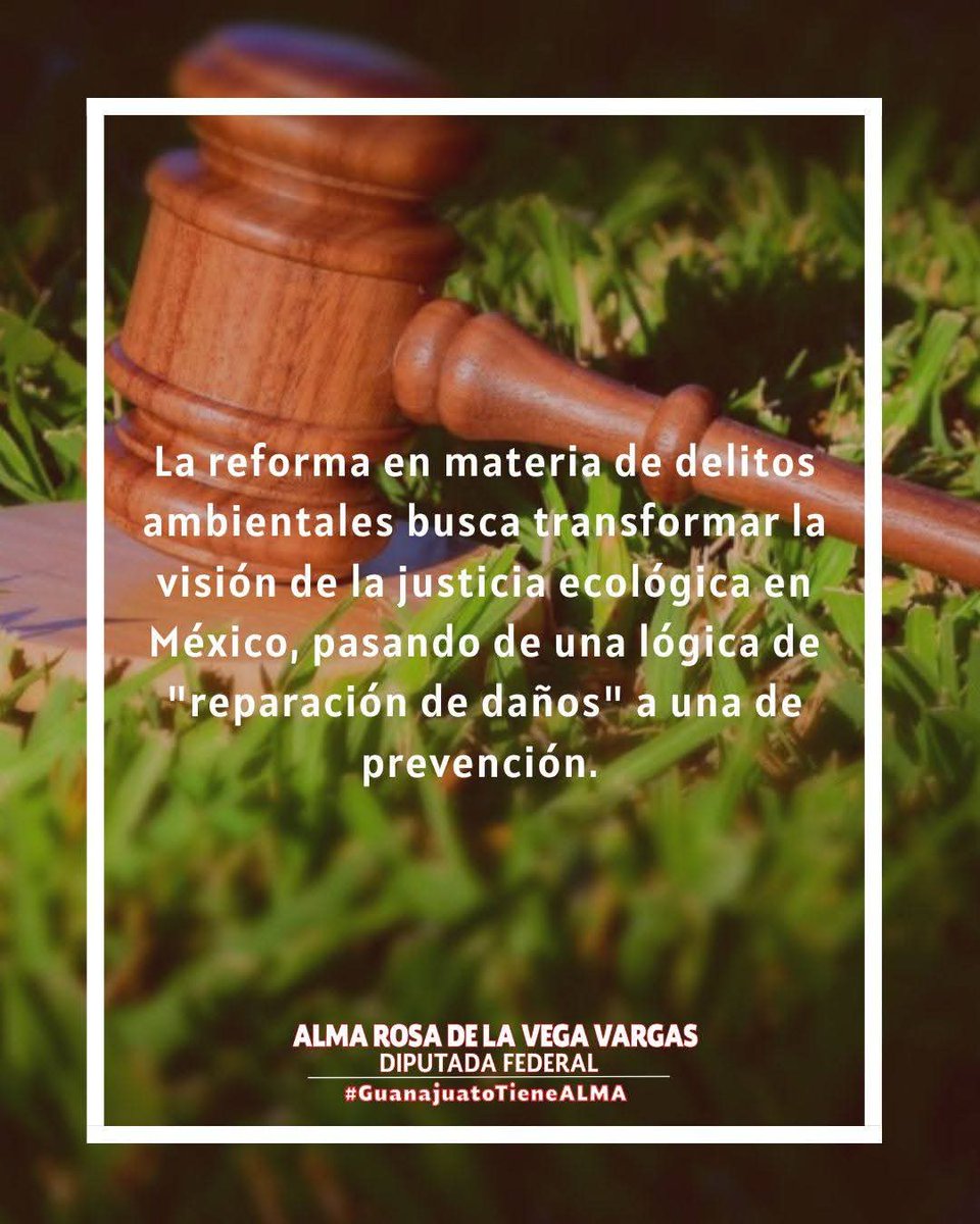 AlmaRosaGto's tweet image. Aprobamos una reforma al Código Penal Federal para fortalecer la protección del #medioambiente y avanzar hacia un país más sostenible.💪
Cuidarlo es un compromiso con las próximas generaciones.🌎