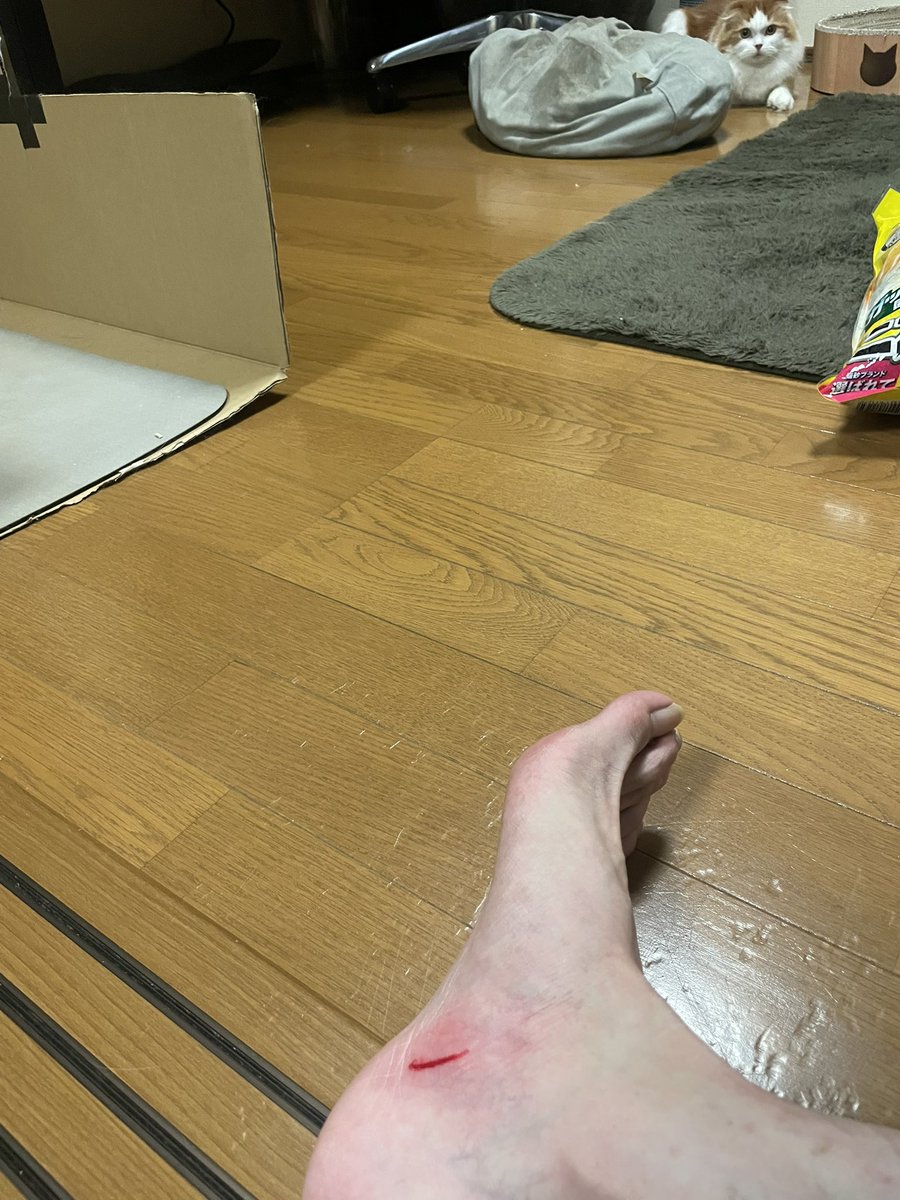 ワニナレナニワ tweet media