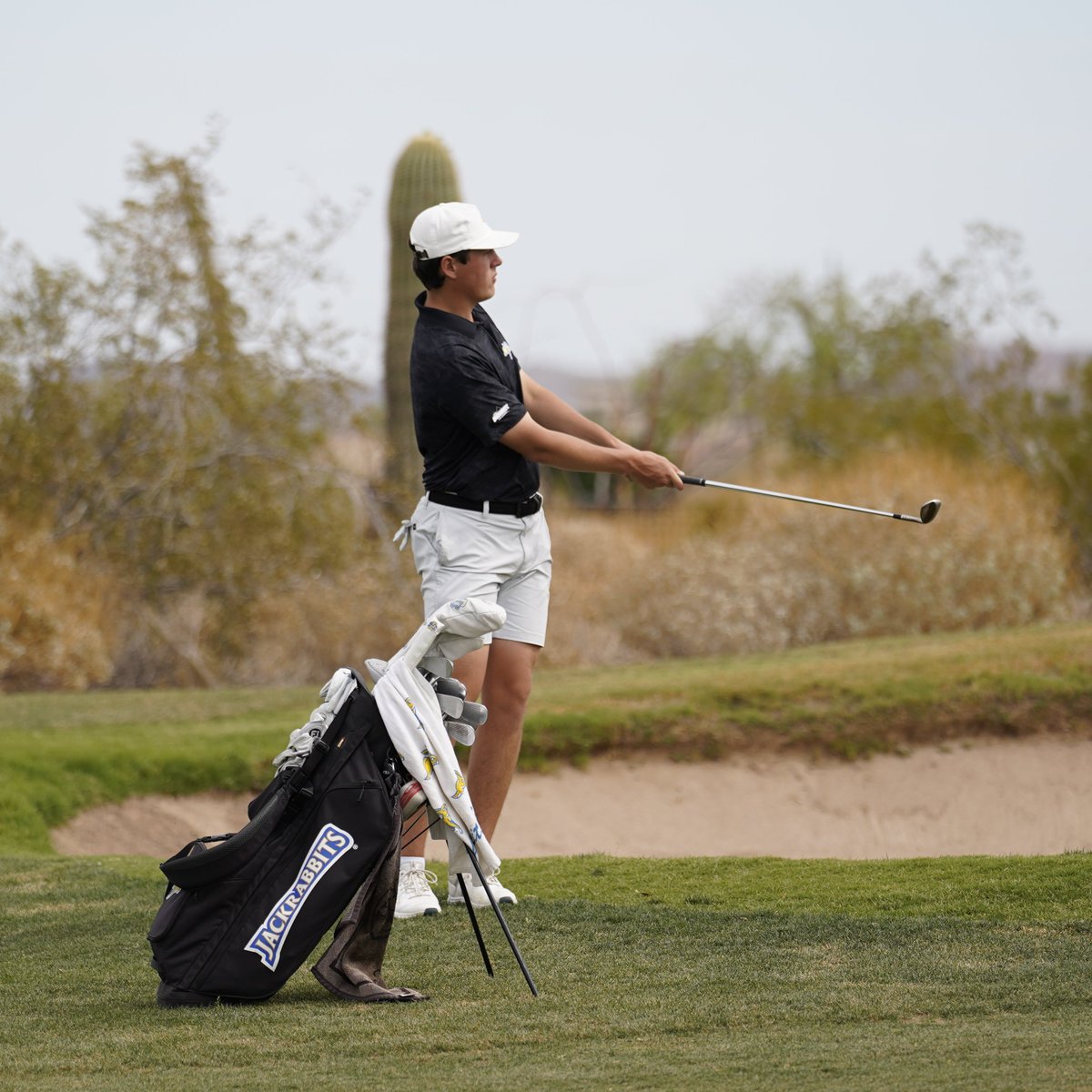 Jackrabbit Men's Golf tweet media