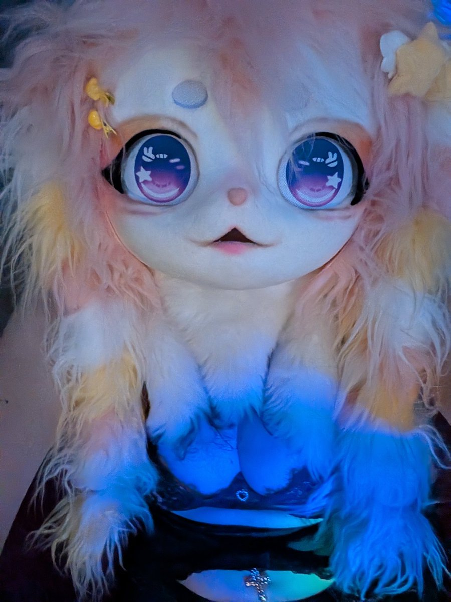 Kitsu 🌟 tweet media