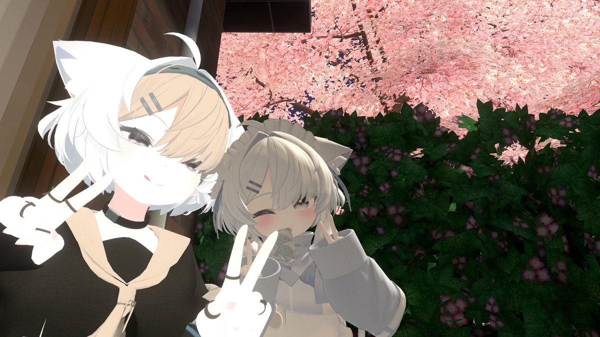 ましゅばー tweet media