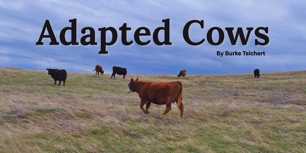 Understanding Ag tweet media