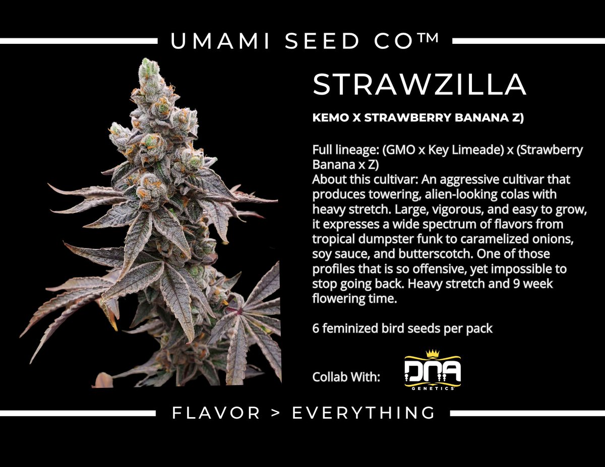 Umami Seed Co™ tweet media