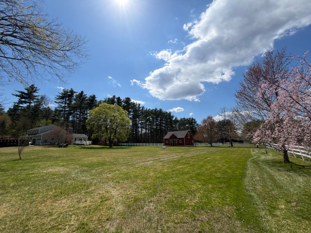 AndyfromNewHamp's tweet image. Home to Burton, early Thursday, ( 
I leave here, 11am on Wednesday, drive to Boston, fly about 5pm, arrive Dublin 4-30am, Thursday, 6-45am flight, Dublin to Brum.
Got to get a good mow in today as the weather is so perfect.

Here’s the view. 
Won’t look like that in 10 days time.