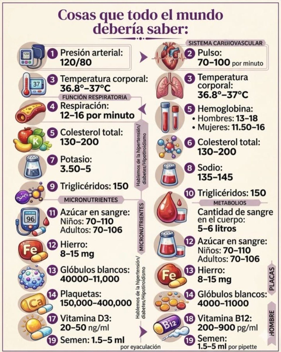 MindBodyIsLife tweet media