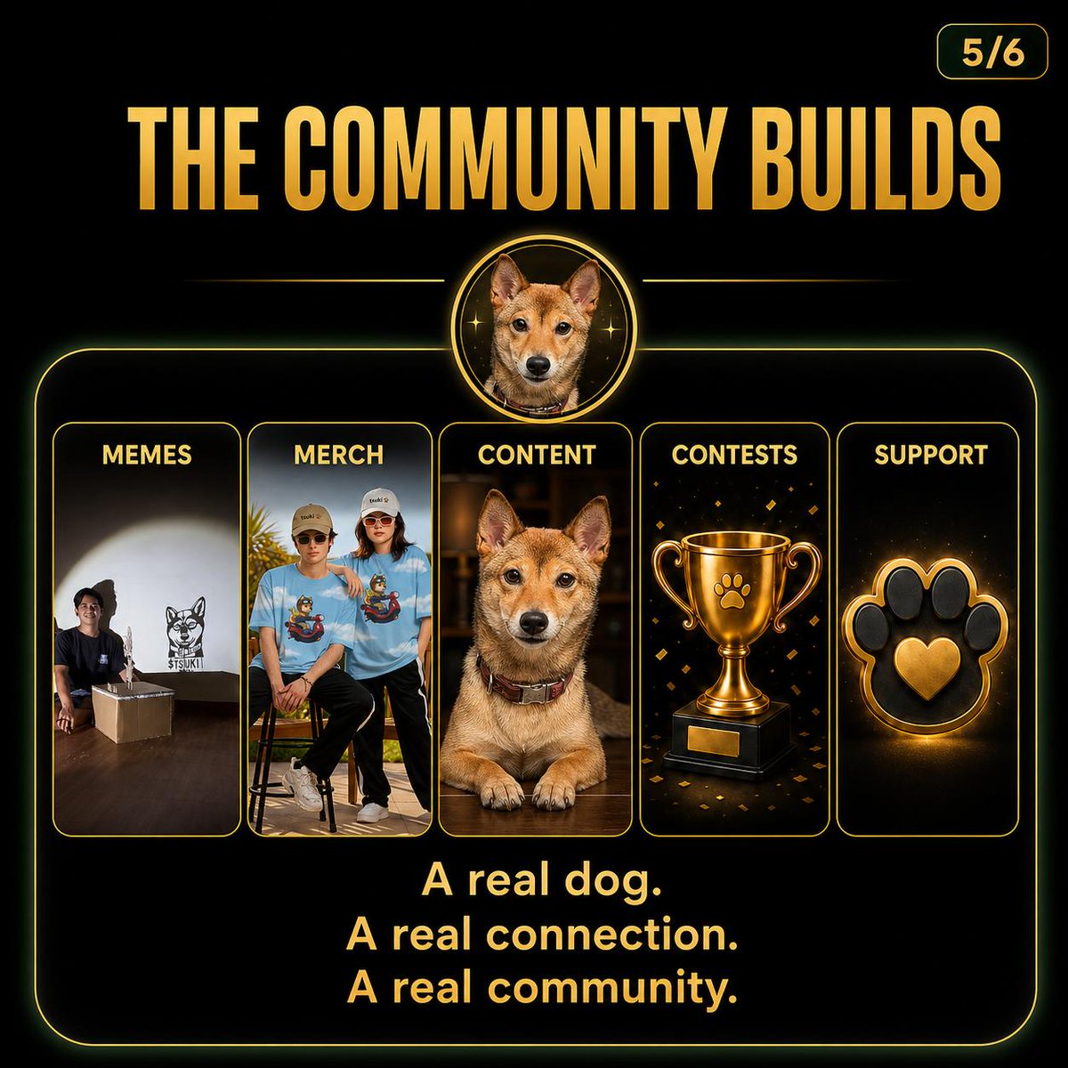 TsukiCTO's tweet photo. 5/
Now the community is turning it into something bigger.

Memes, merch, content, contests, and real support around the foundation once it is officially ready.

A real dog.

A real connection.

A real community. https://t.co/OBaLQT00HI