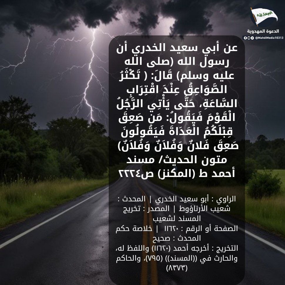 ali ali13 tweet media