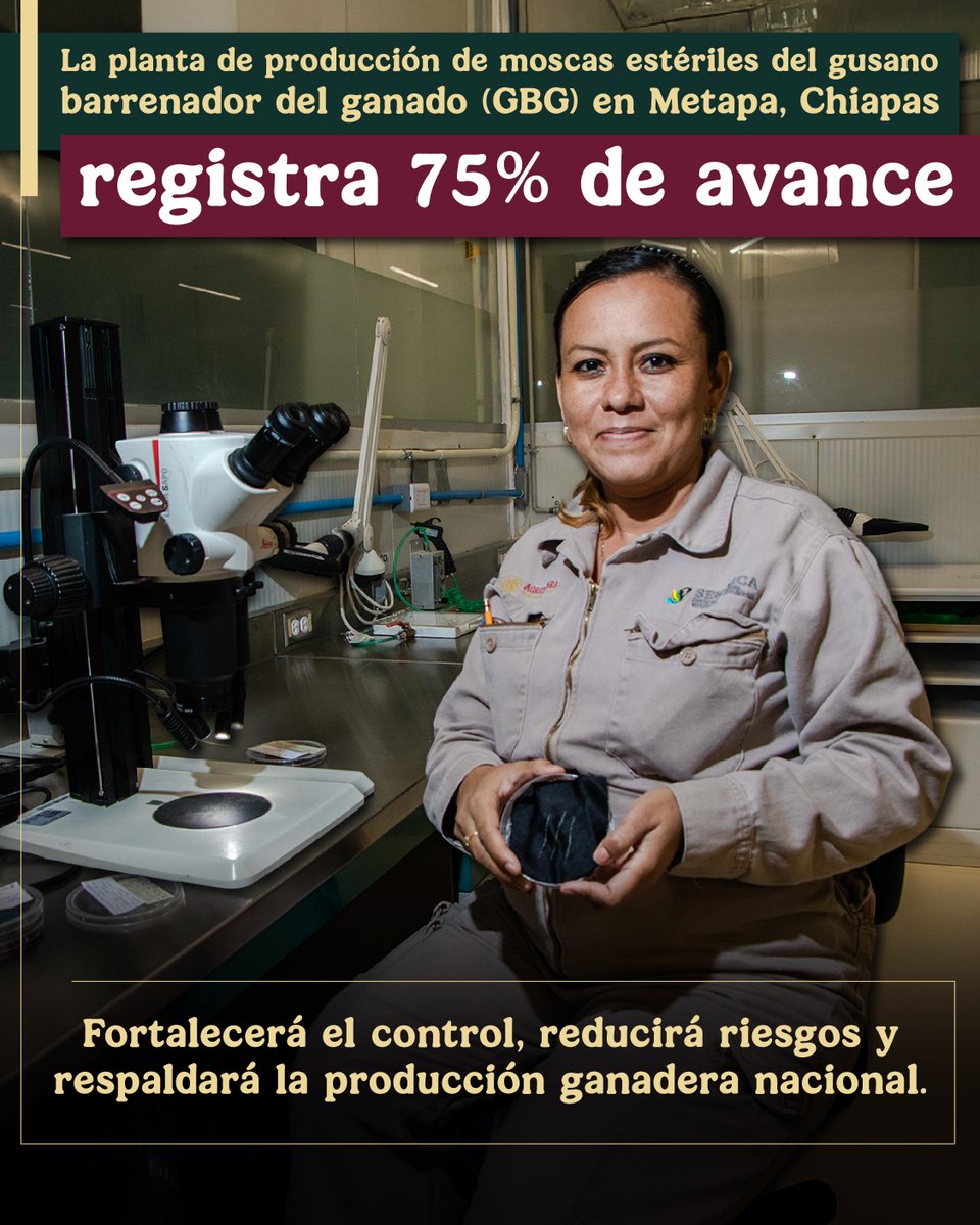 Secretaría de Agricultura y Desarrollo Rural tweet media