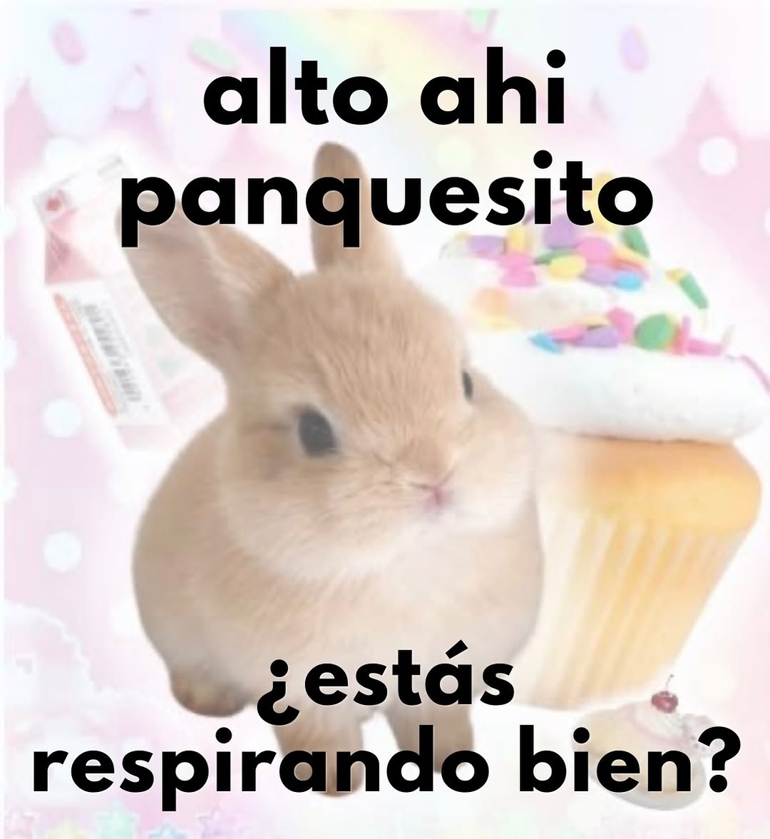 Maestre Mapaxito tweet media