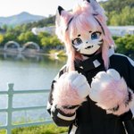 Photo by Saku / Waffle (@moffurry)