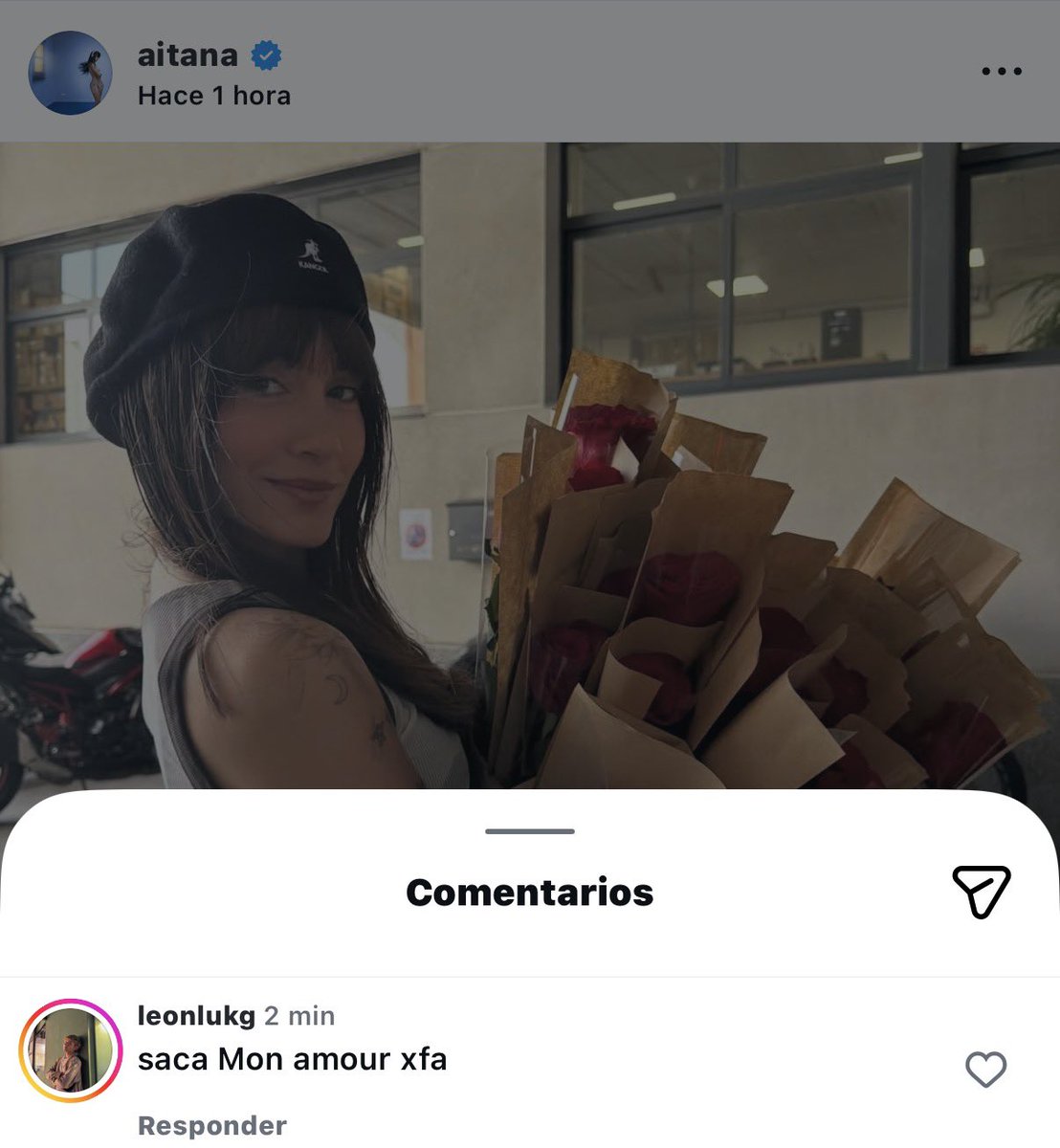 dani tweet media