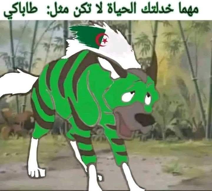 abdelali achernan tweet media