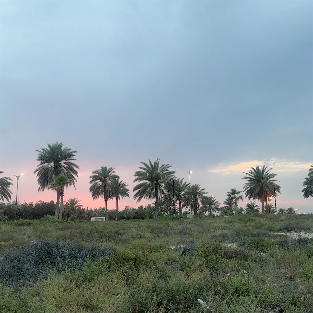 آمنه ☀︎ tweet media