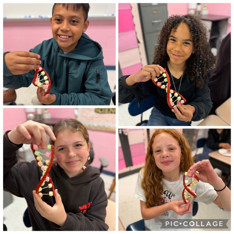 northmiddlestar's tweet photo. Learning is sweet in Ms. Martin’s 6th grade science class 🧬🍬 Students built edible DNA models while exploring the structure of life! Science never tasted so good. #6thGradeScience #LearningIsFun https://t.co/fOQ7upxpJ8