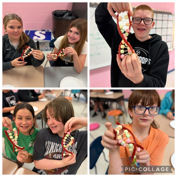 northmiddlestar's tweet photo. Learning is sweet in Ms. Martin’s 6th grade science class 🧬🍬 Students built edible DNA models while exploring the structure of life! Science never tasted so good. #6thGradeScience #LearningIsFun https://t.co/fOQ7upxpJ8