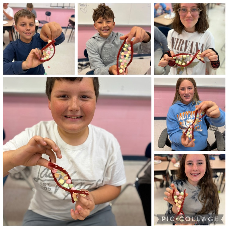 northmiddlestar's tweet photo. Learning is sweet in Ms. Martin’s 6th grade science class 🧬🍬 Students built edible DNA models while exploring the structure of life! Science never tasted so good. #6thGradeScience #LearningIsFun https://t.co/fOQ7upxpJ8
