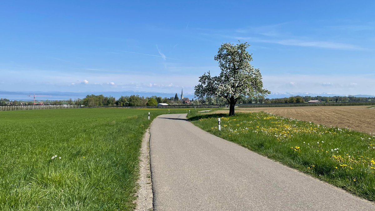 MK2forU's tweet photo. @elonmusk Just enjoy, we are relaxed in Switzerland. https://t.co/Dx9MY8bdrZ