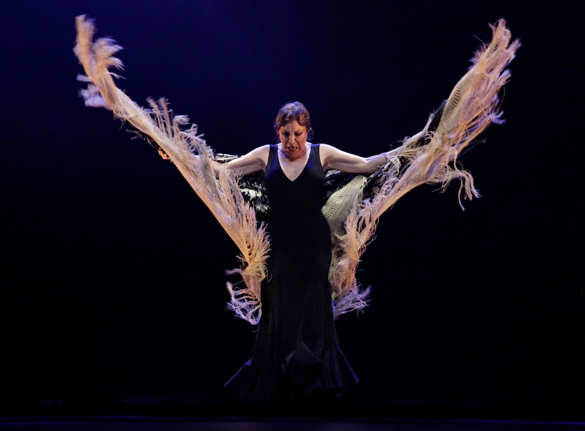FLAMENCOMANIA tweet media