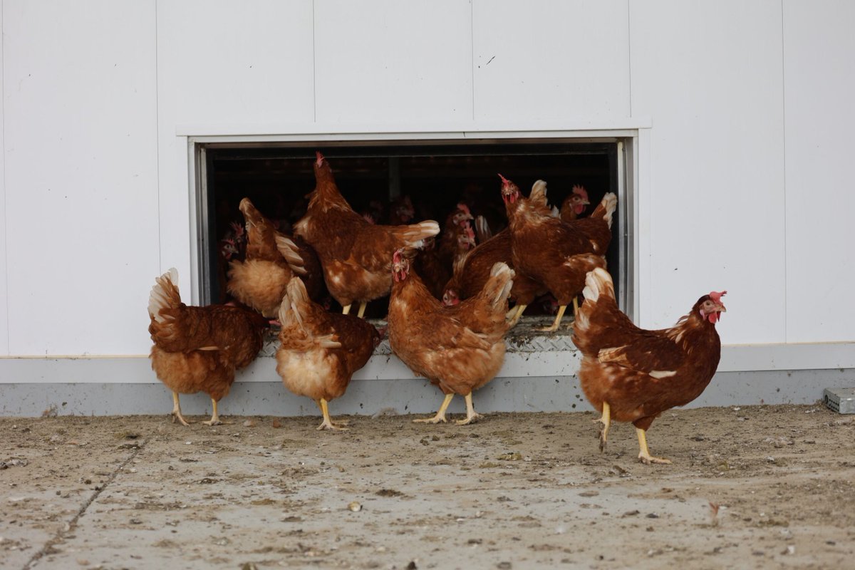 AAFC Canada tweet media