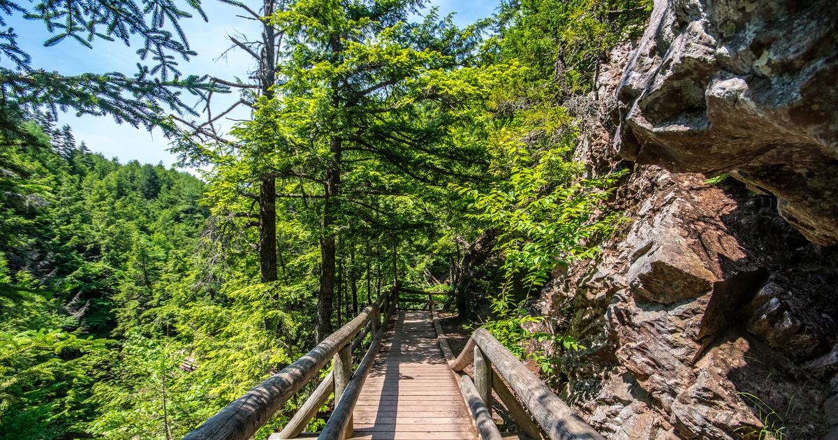 Trans Canada Trail 🇨🇦 tweet media