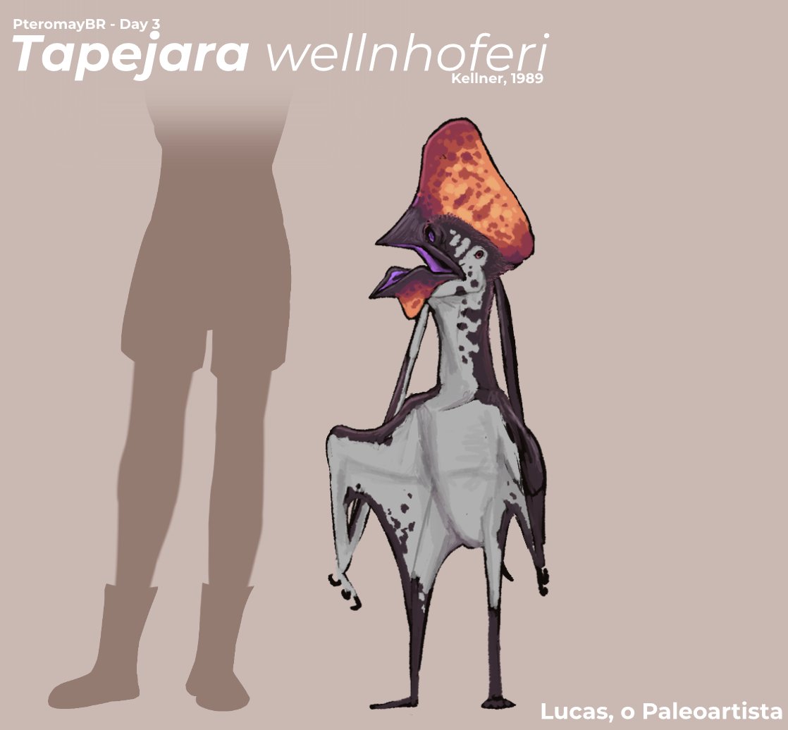 Lucas, o paleoartista tweet media