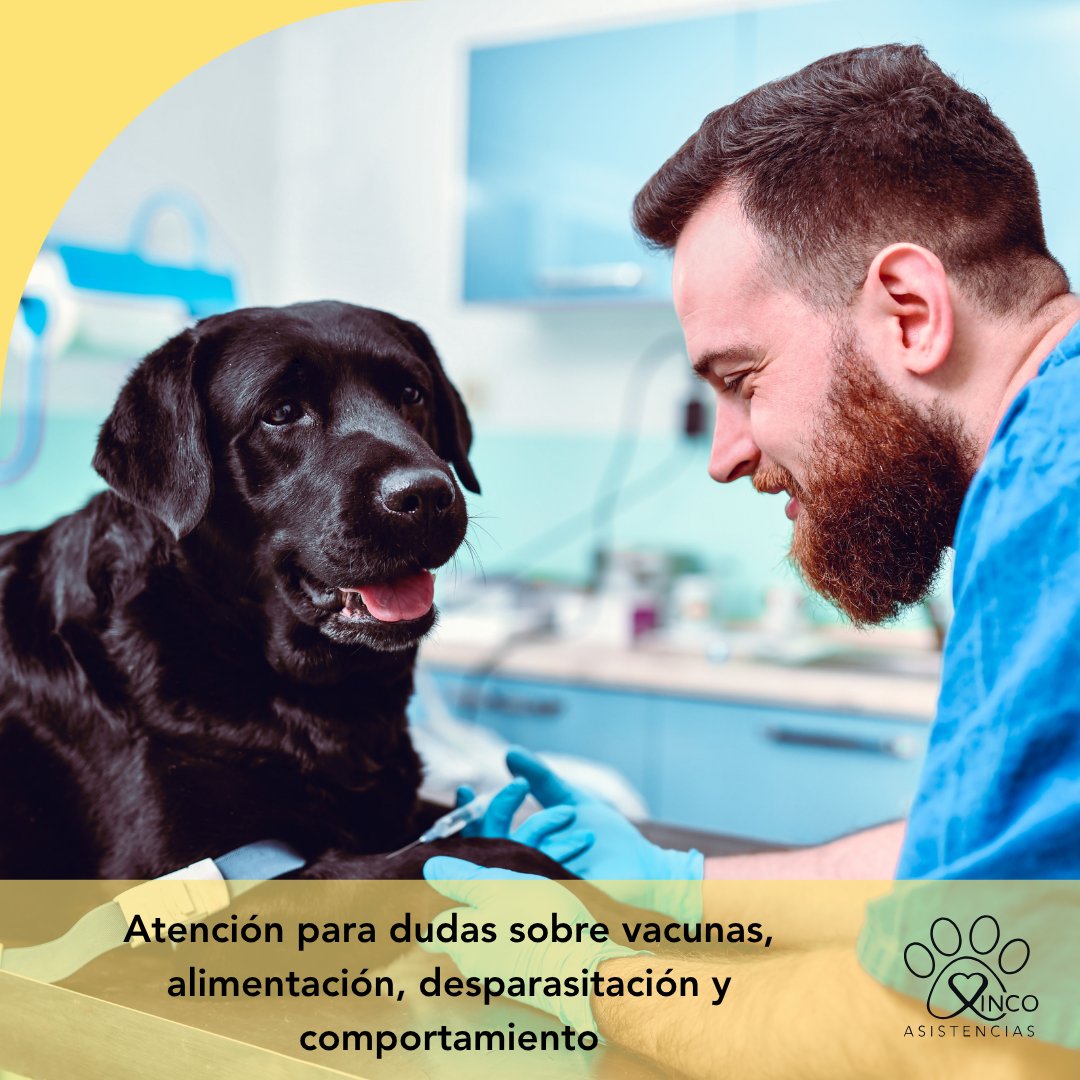 XincoAsistencia's tweet image. 📖 Revisa qué servicios incluye la cobertura para mascotas
xincoasistencias.com
#XINCOAsistencias #Familia #Mascotas