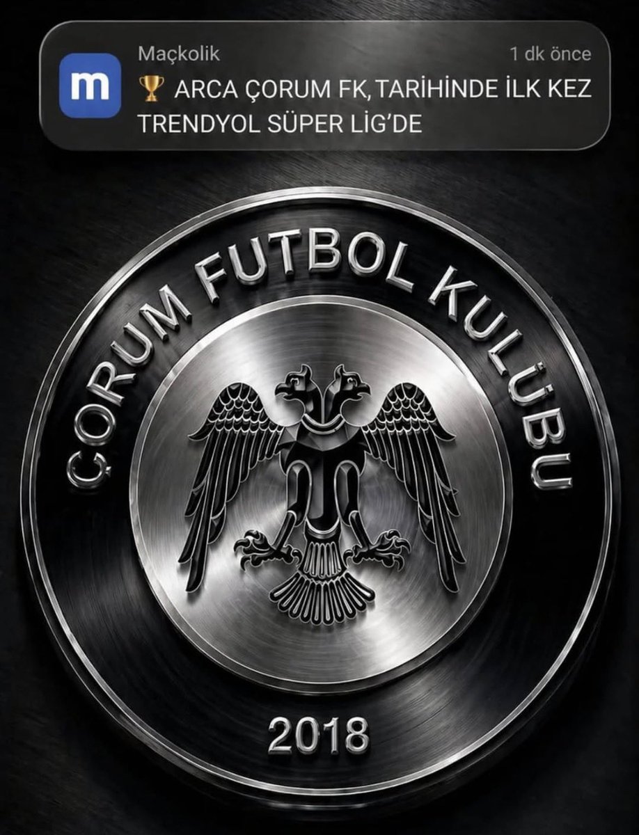 yes context Çorum FK tweet media