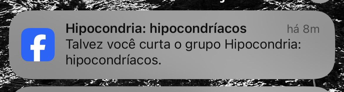 andressa tweet media