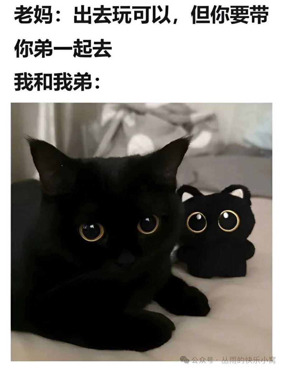 悲伤的吕西安 tweet media