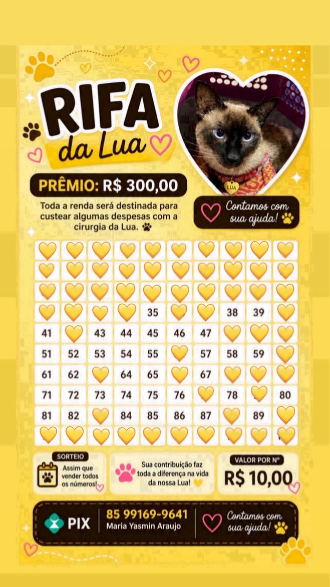 mimsay085's tweet photo. Galera minha gatinha precisou passar por uma CIRURGIA DE URGÊNCIA a qual custou o valor de R$ 2.920,00 além dos gastos com ultrassom e exames já se acumula o valor de R$ 3.488,67 sem as medicações. Então criei uma RIFA pra custear um pouco desse valor. Quem puder ajudar, agradeço https://t.co/c0neekt8wW
