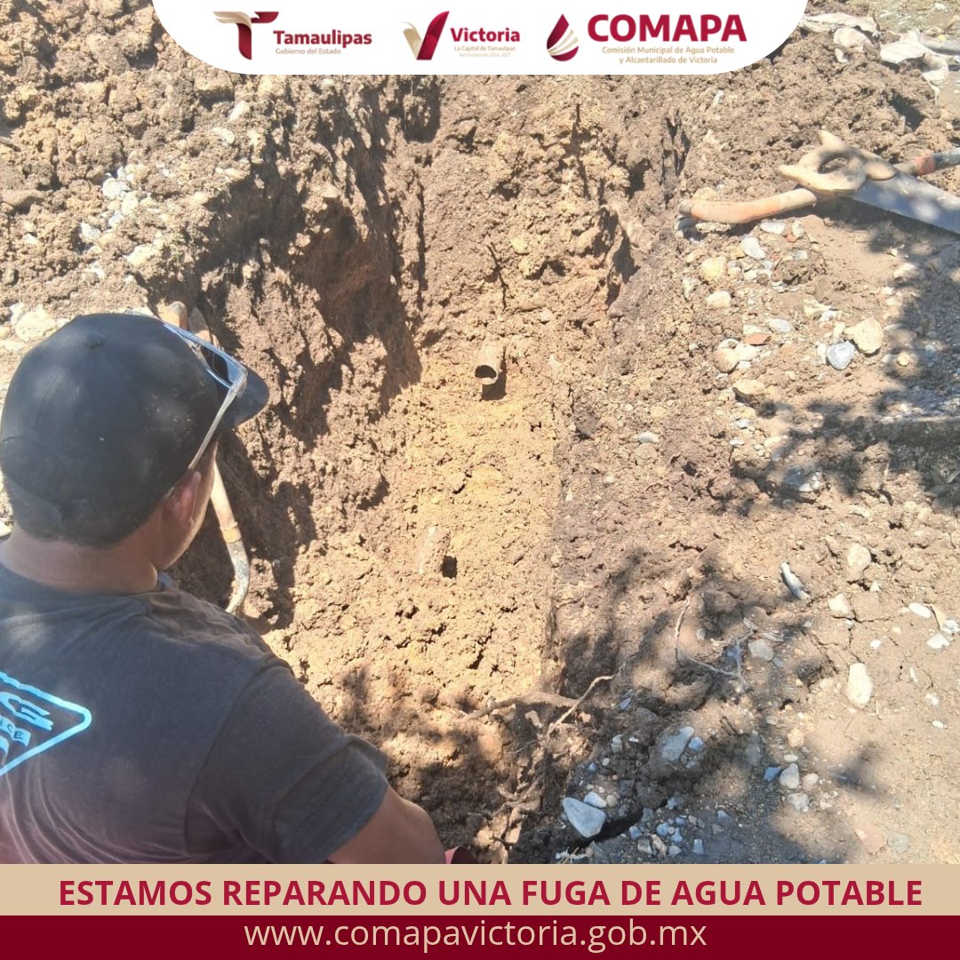 COMAPA Victoria tweet media