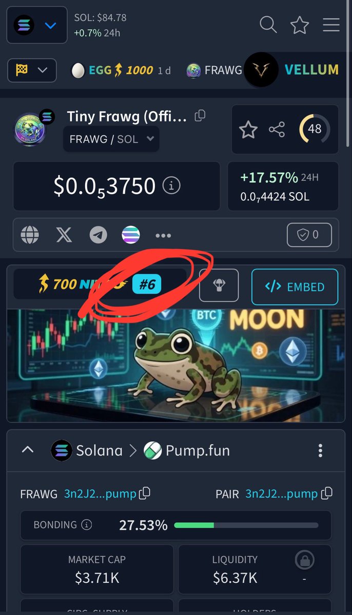 Frawg tweet media